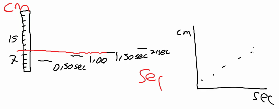 David and Thomas’s model at the end of the discussion in C2